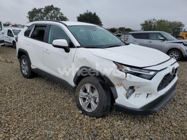 Photo 11 of 2025 TOYOTA RAV4 XLE (VIN 2T3RWRFV4SW264687)