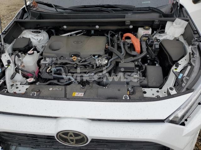 Photo 3 of 2025 TOYOTA RAV4 XLE (VIN 2T3RWRFV4SW264687)