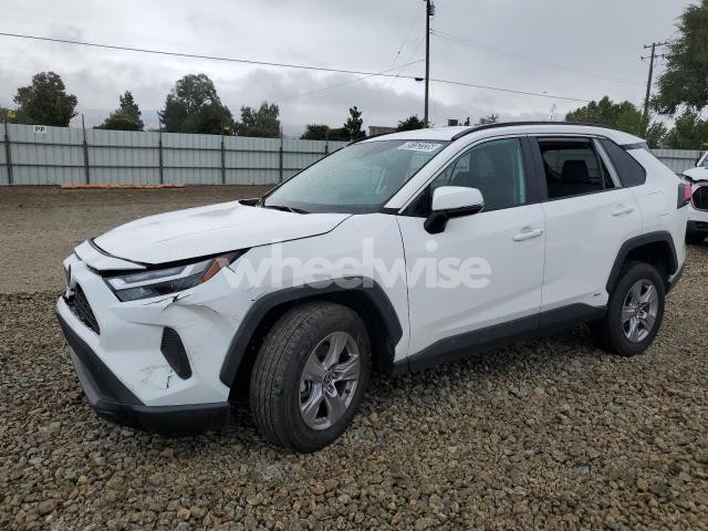 Photo 4 of 2025 TOYOTA RAV4 XLE (VIN 2T3RWRFV4SW264687)