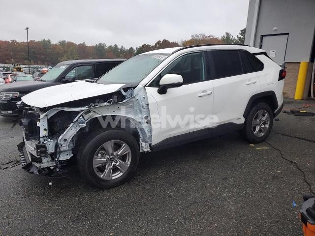 Photo 10 of 2025 TOYOTA RAV4 XLE (VIN 2T3RWRFV6SW266733)