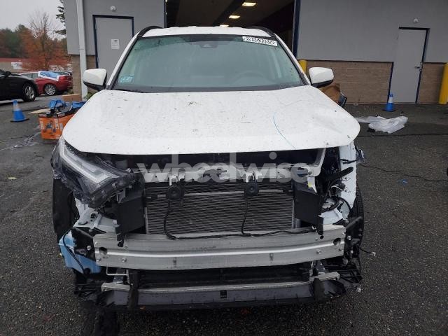 Photo 2 of 2025 TOYOTA RAV4 XLE (VIN 2T3RWRFV6SW266733)