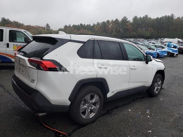 Photo 3 of 2025 TOYOTA RAV4 XLE (VIN 2T3RWRFV6SW266733)