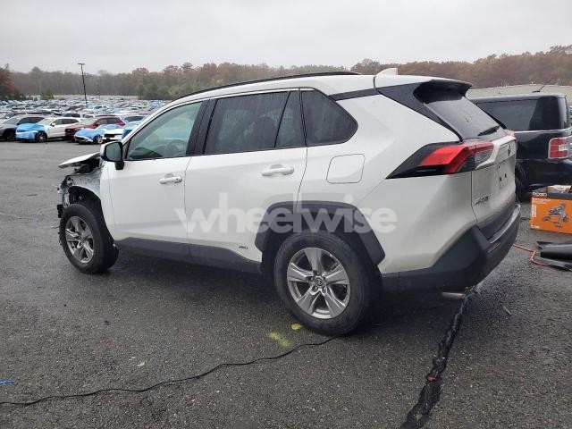 Photo 8 of 2025 TOYOTA RAV4 XLE (VIN 2T3RWRFV6SW266733)