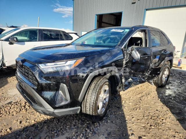Photo 10 of 2025 TOYOTA RAV4 XLE (VIN 2T3RWRFV6SW267610)