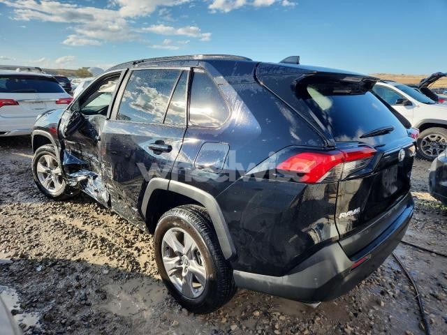 Photo 9 of 2025 TOYOTA RAV4 XLE (VIN 2T3RWRFV6SW267610)