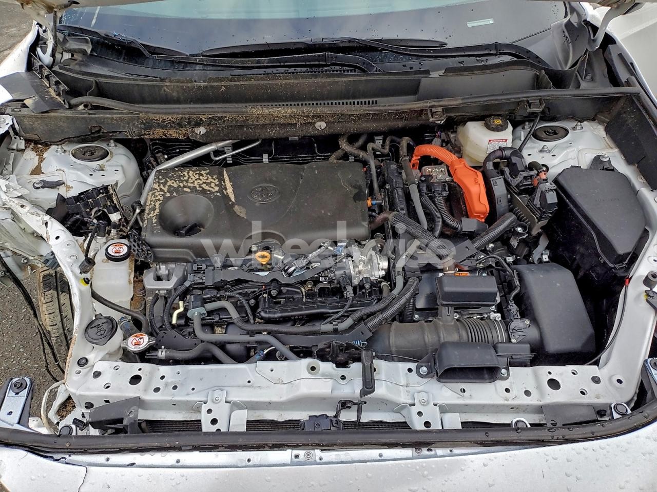 Photo 12 of 2025 TOYOTA RAV4 XLE (VIN 2T3RWRFV8SW263736)