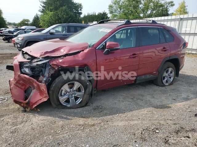 Photo 6 of 2025 TOYOTA RAV4 XLE (VIN 2T3RWRFV9SW263941)