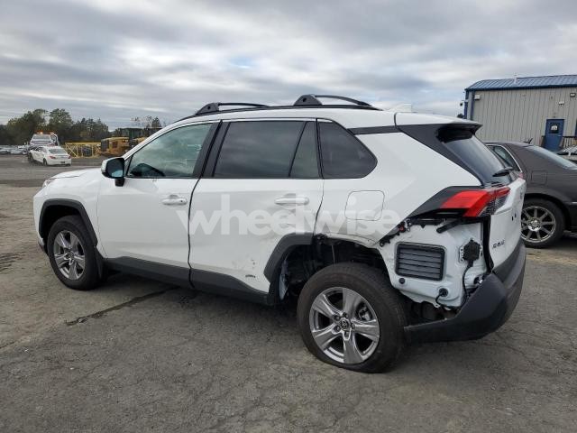 Photo 11 of 2025 TOYOTA RAV4 XLE (VIN 2T3RWRFV9SW279220)