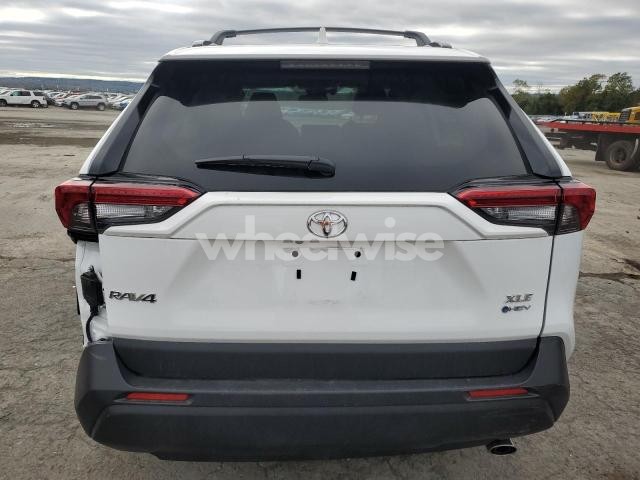 Photo 12 of 2025 TOYOTA RAV4 XLE (VIN 2T3RWRFV9SW279220)