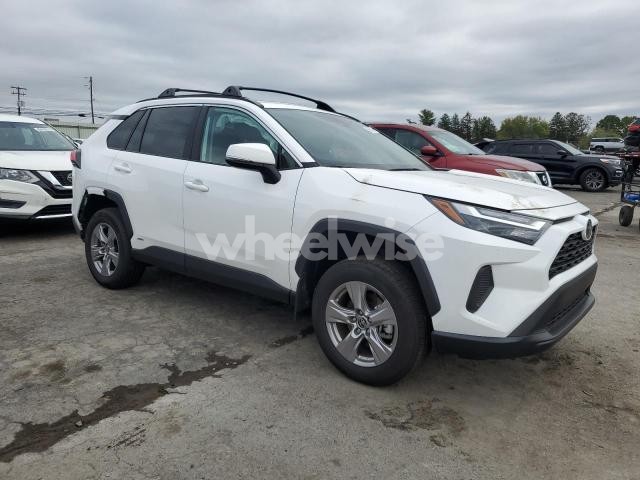 Photo 13 of 2025 TOYOTA RAV4 XLE (VIN 2T3RWRFV9SW279220)