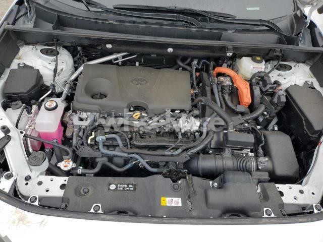 Photo 2 of 2025 TOYOTA RAV4 XLE (VIN 2T3RWRFV9SW279220)