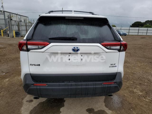 Photo 8 of 2024 TOYOTA RAV4 XLE (VIN 2T3RWRFVXRW******)