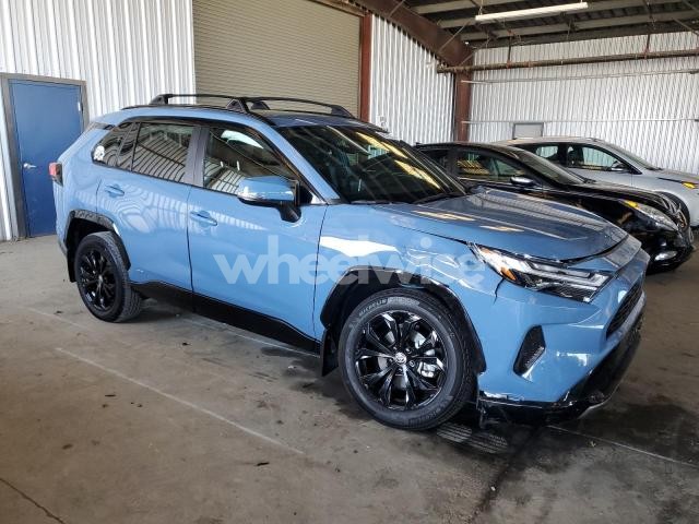 Photo 13 of 2024 TOYOTA RAV4 SE (VIN 2T3T6RFVXRW064901)