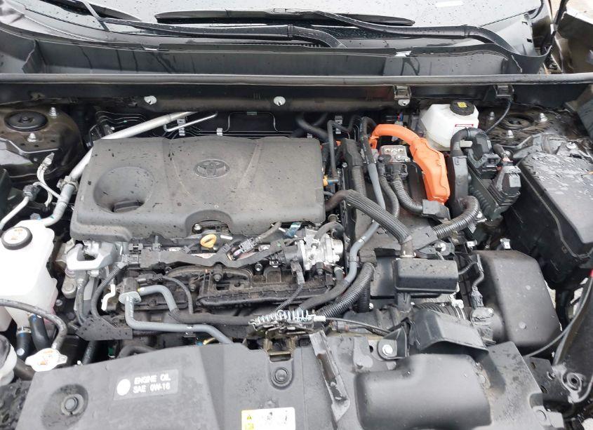 Photo 10 of 2024 Toyota Rav4 HYBRID WOODLAND EDITION (VIN 2T3UWRFV4RW226025)