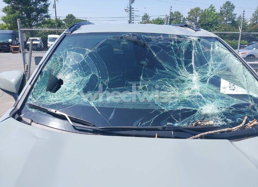 Photo 18 of 2023 Toyota Rav4 XLE (VIN 2T3W1RFV0PW292835)