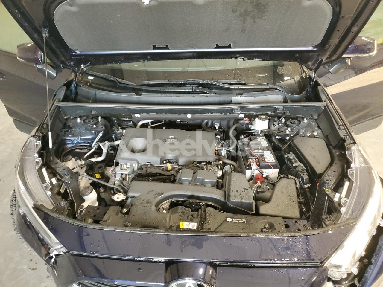 Photo 12 of 2025 TOYOTA RAV4 XLE (VIN 2T3W1RFV0SW410441)