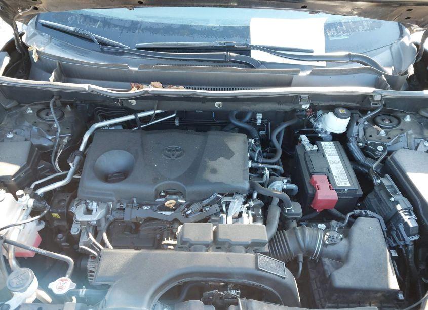 Photo 10 of 2019 Toyota Rav4 XLE (VIN 2T3W1RFV1KW016057)