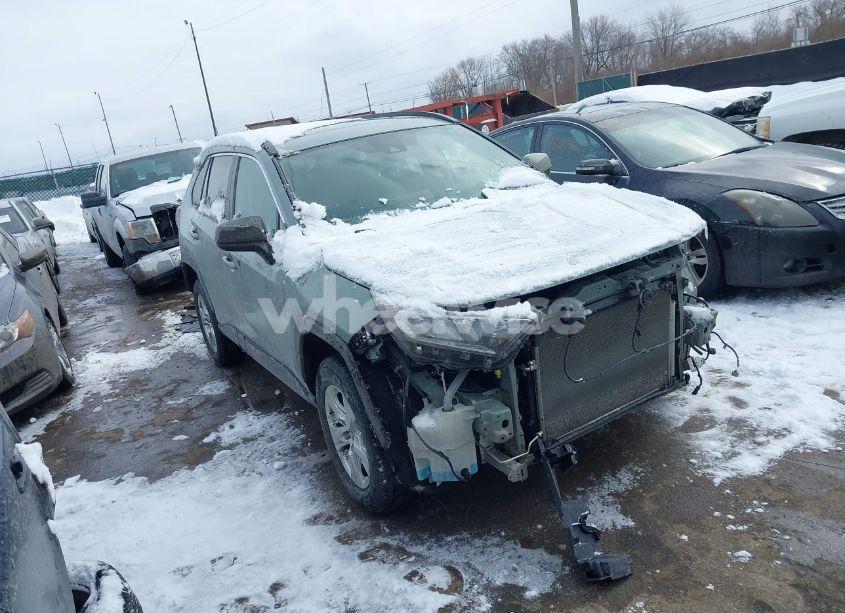 2019 Toyota Rav4 XLE (VIN 2T3W1RFV1KW019623) main photo