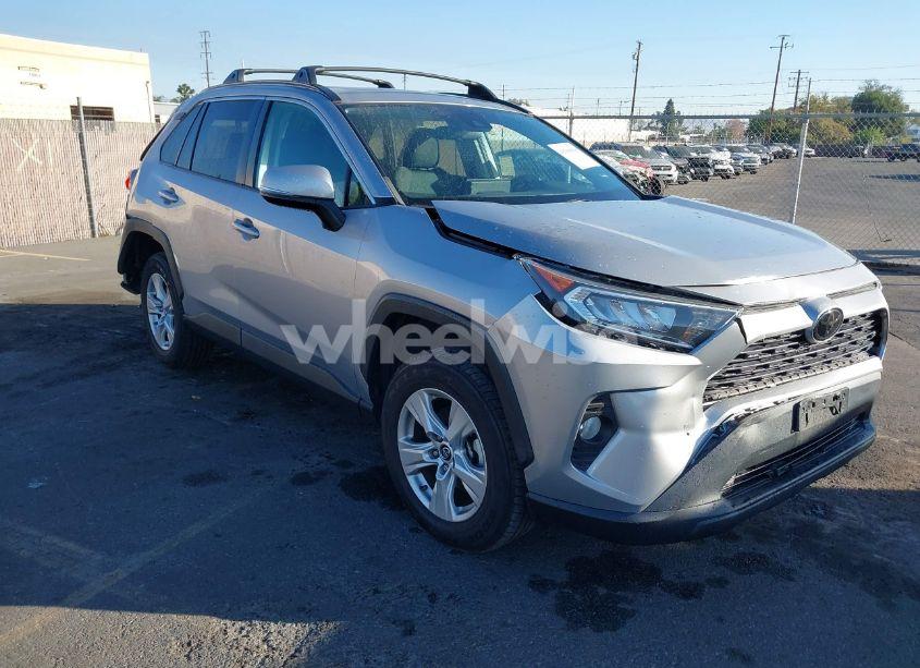 2019 Toyota Rav4 XLE (VIN 2T3W1RFV1KW023624) main photo