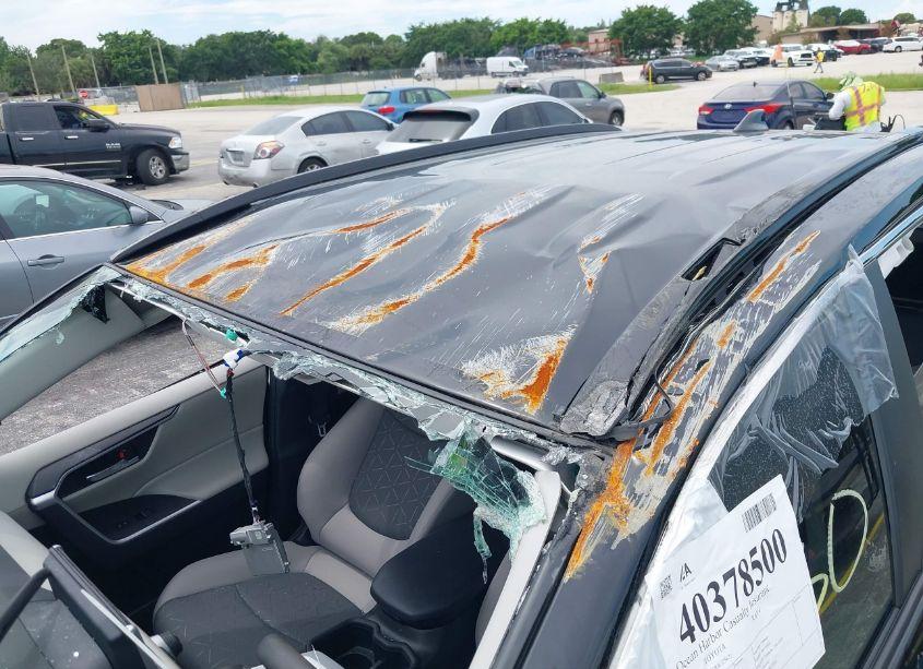 Photo 19 of 2024 Toyota Rav4 XLE (VIN 2T3W1RFV1RW325621)