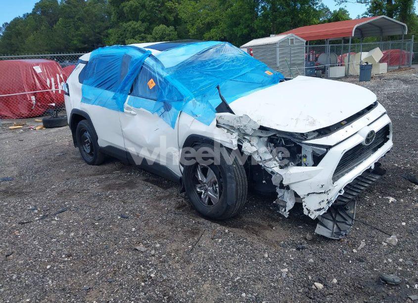 2024 Toyota Rav4 XLE (VIN 2T3W1RFV1RW351958) main photo