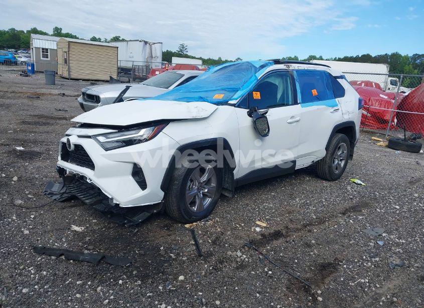 Photo 2 of 2024 Toyota Rav4 XLE (VIN 2T3W1RFV1RW351958)