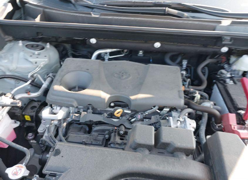 Photo 10 of 2023 Toyota Rav4 XLE (VIN 2T3W1RFV2PW241157)