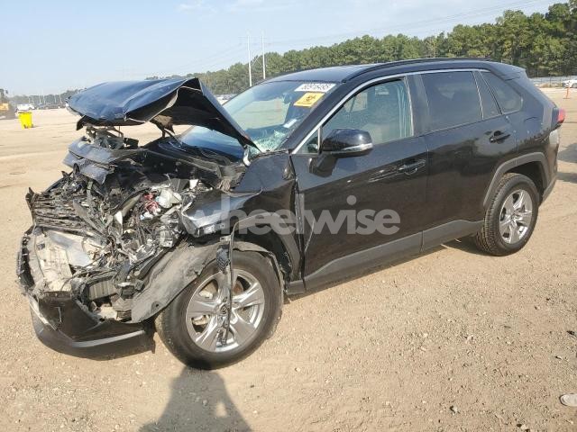 Photo 10 of 2024 TOYOTA RAV4 XLE (VIN 2T3W1RFV2RC264653)