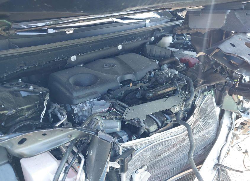 Photo 10 of 2024 Toyota Rav4 XLE (VIN 2T3W1RFV2RC267391)