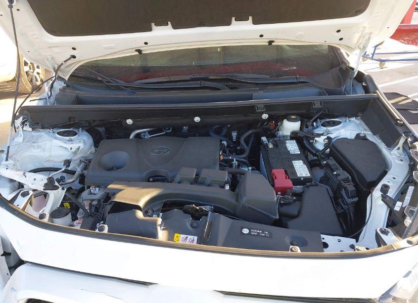 Photo 10 of 2024 Toyota Rav4 XLE (VIN 2T3W1RFV2RC279976)