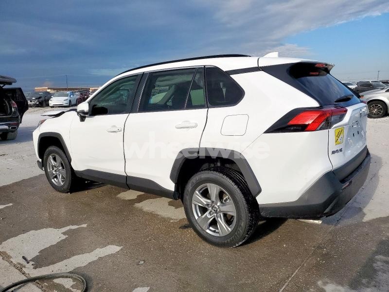 2025 TOYOTA RAV4 XLE (VIN 2T3W1RFV2SC309242) main photo