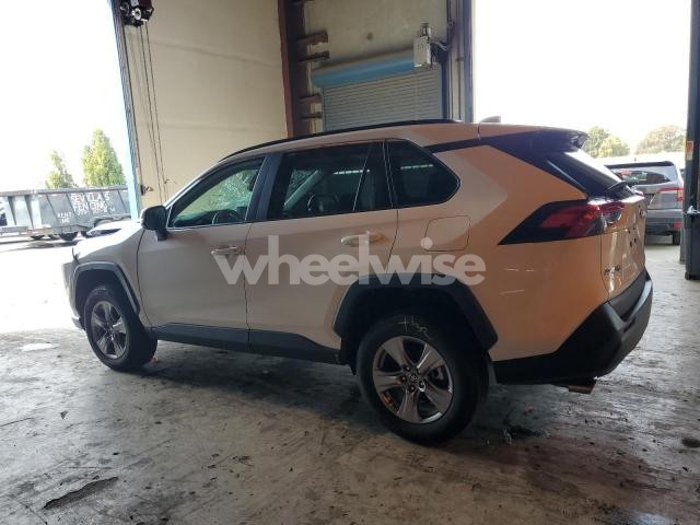 Photo 7 of 2025 TOYOTA RAV4 XLE (VIN 2T3W1RFV2SW381816)