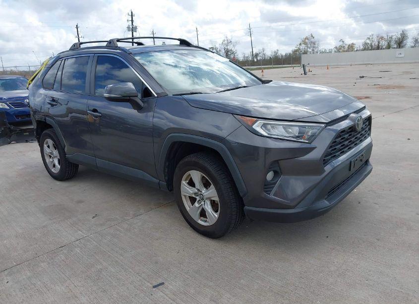 2019 Toyota Rav4 XLE (VIN 2T3W1RFV3KW006842) main photo
