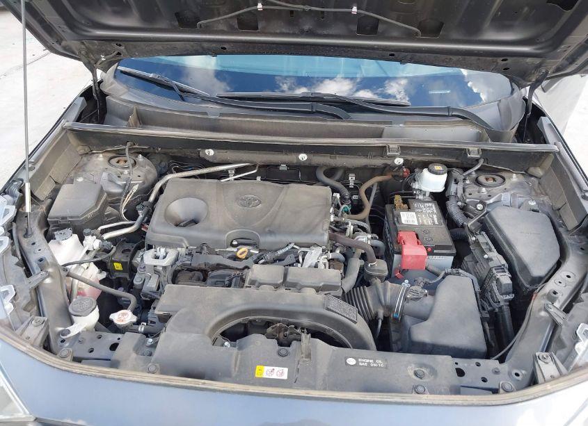 Photo 10 of 2019 Toyota Rav4 XLE (VIN 2T3W1RFV3KW006842)