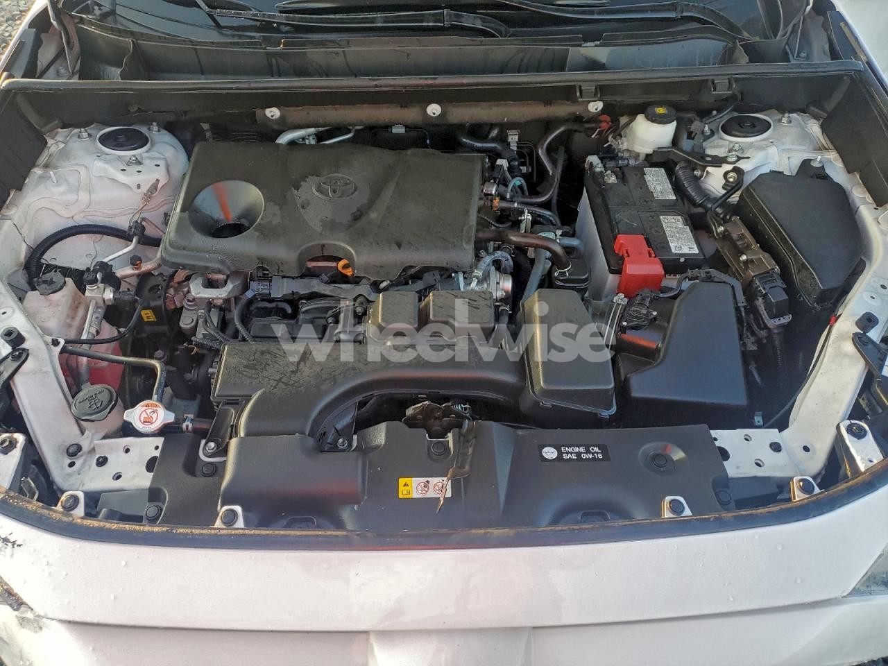 Photo 12 of 2024 TOYOTA RAV4 XLE (VIN 2T3W1RFV4RW333101)