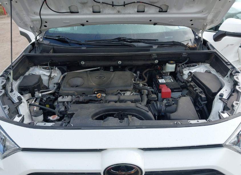 Photo 10 of 2019 Toyota Rav4 XLE (VIN 2T3W1RFV5KW008284)