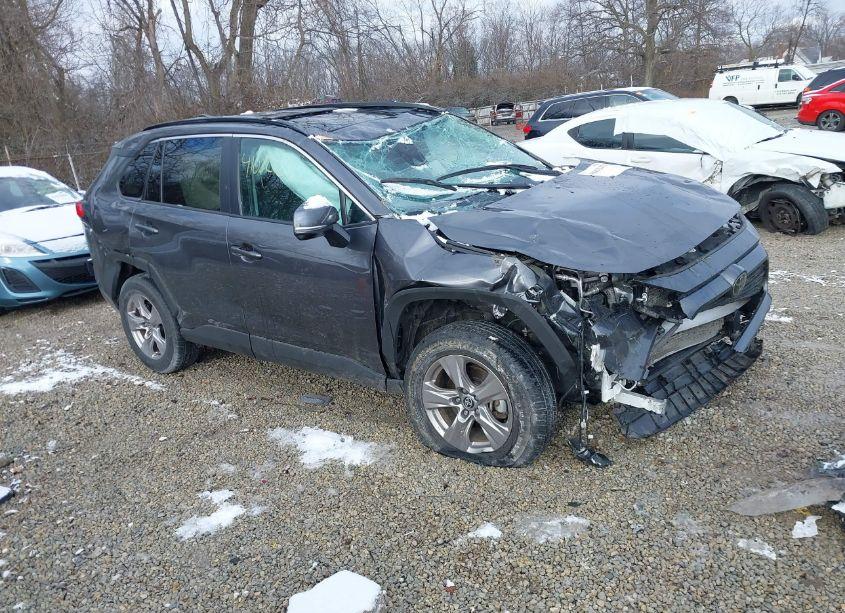 2023 Toyota Rav4 XLE (VIN 2T3W1RFV5PC234365) main photo