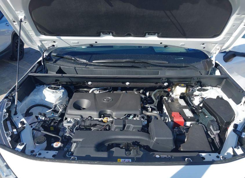 Photo 10 of 2024 Toyota Rav4 XLE (VIN 2T3W1RFV5RC293175)