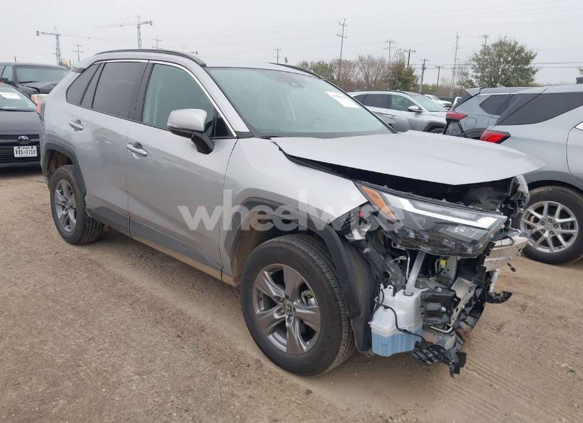 2024 Toyota Rav4 XLE (VIN 2T3W1RFV5RW316436) main photo