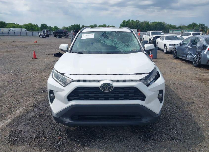 Photo 12 of 2019 Toyota Rav4 XLE (VIN 2T3W1RFV6KW026003)