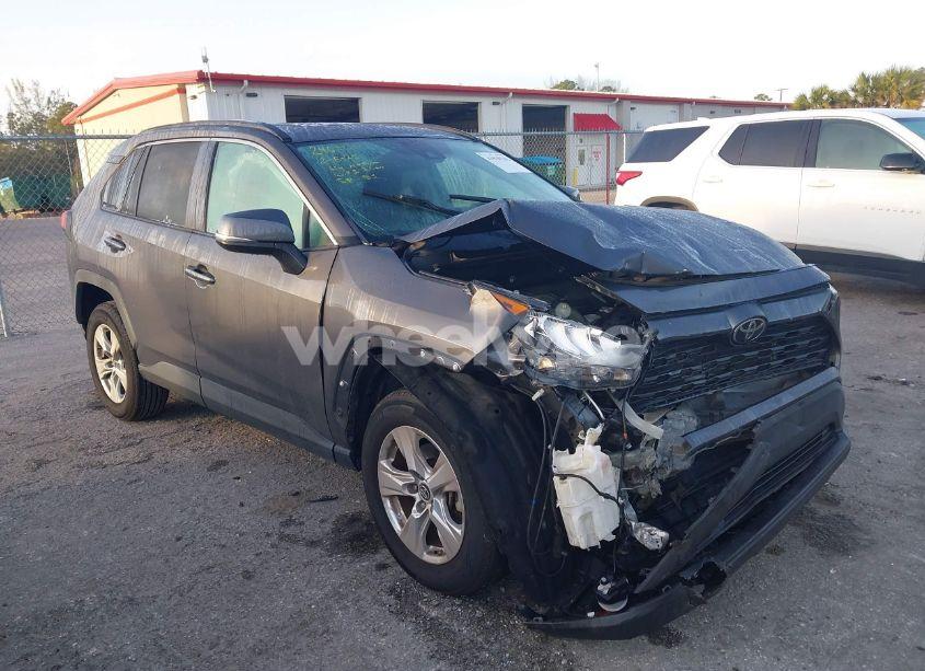 2019 Toyota Rav4 XLE (VIN 2T3W1RFV6KW029242) main photo