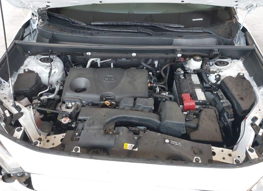 Photo 10 of 2023 Toyota Rav4 XLE (VIN 2T3W1RFV6PW266112)