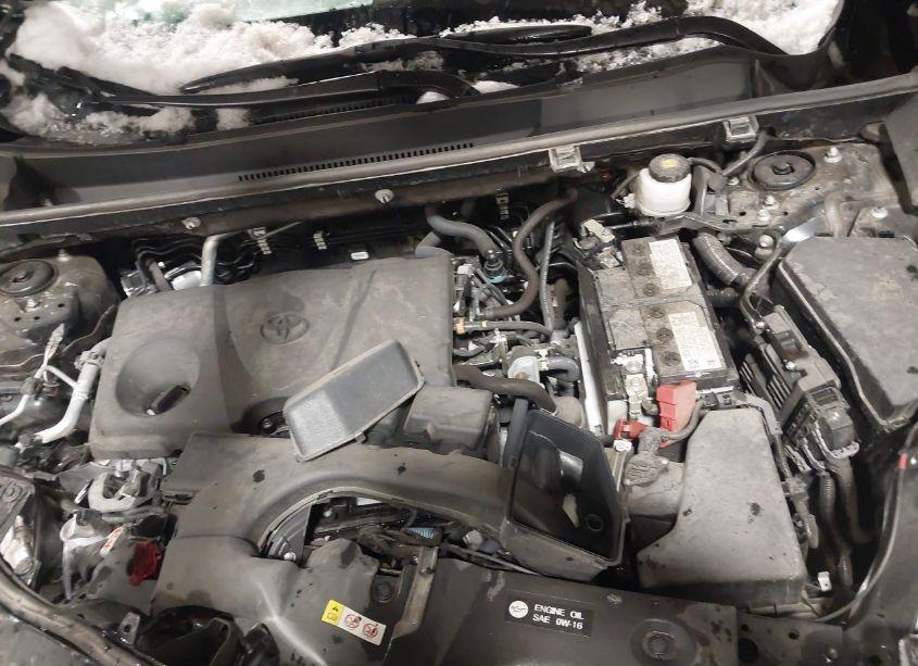 Photo 10 of 2023 Toyota Rav4 XLE (VIN 2T3W1RFV6PW268524)