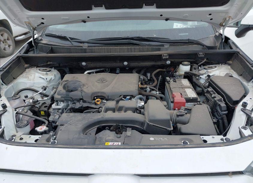 Photo 10 of 2024 Toyota Rav4 XLE (VIN 2T3W1RFV6RC274781)