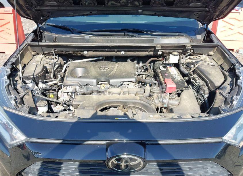 Photo 10 of 2019 Toyota Rav4 XLE (VIN 2T3W1RFV7KW021151)