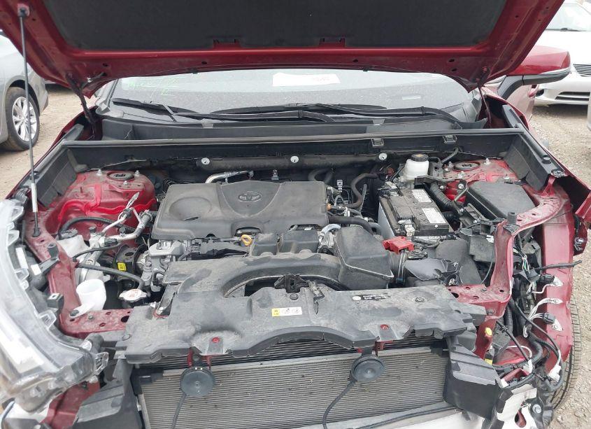 Photo 10 of 2023 Toyota Rav4 XLE (VIN 2T3W1RFV7PW260156)