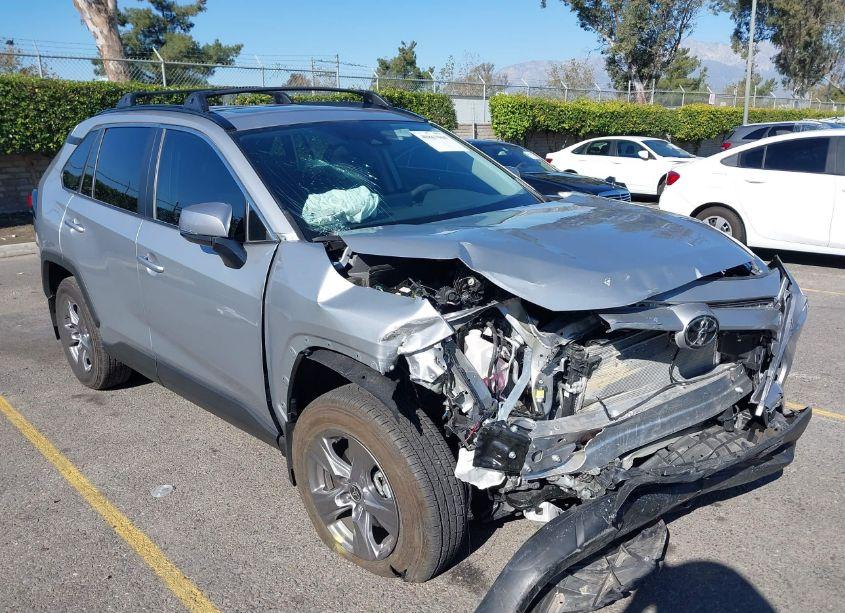 2024 Toyota Rav4 XLE (VIN 2T3W1RFV7RW315448) main photo