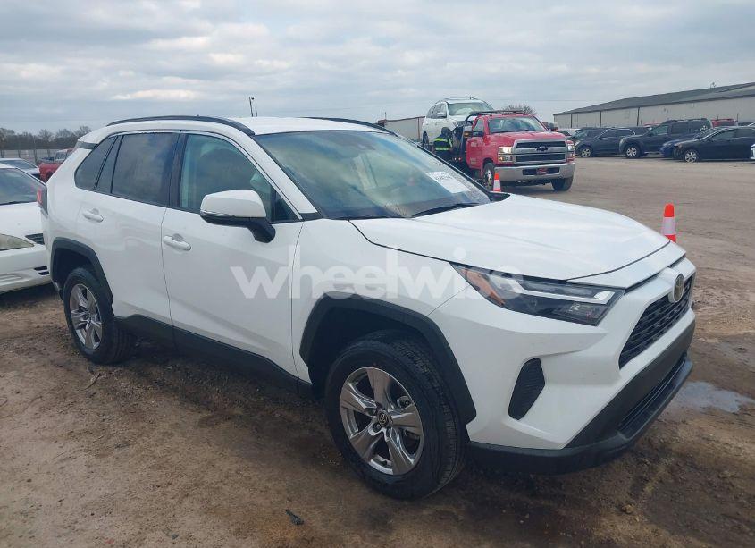 2024 Toyota Rav4 XLE (VIN 2T3W1RFV7RW333755) main photo