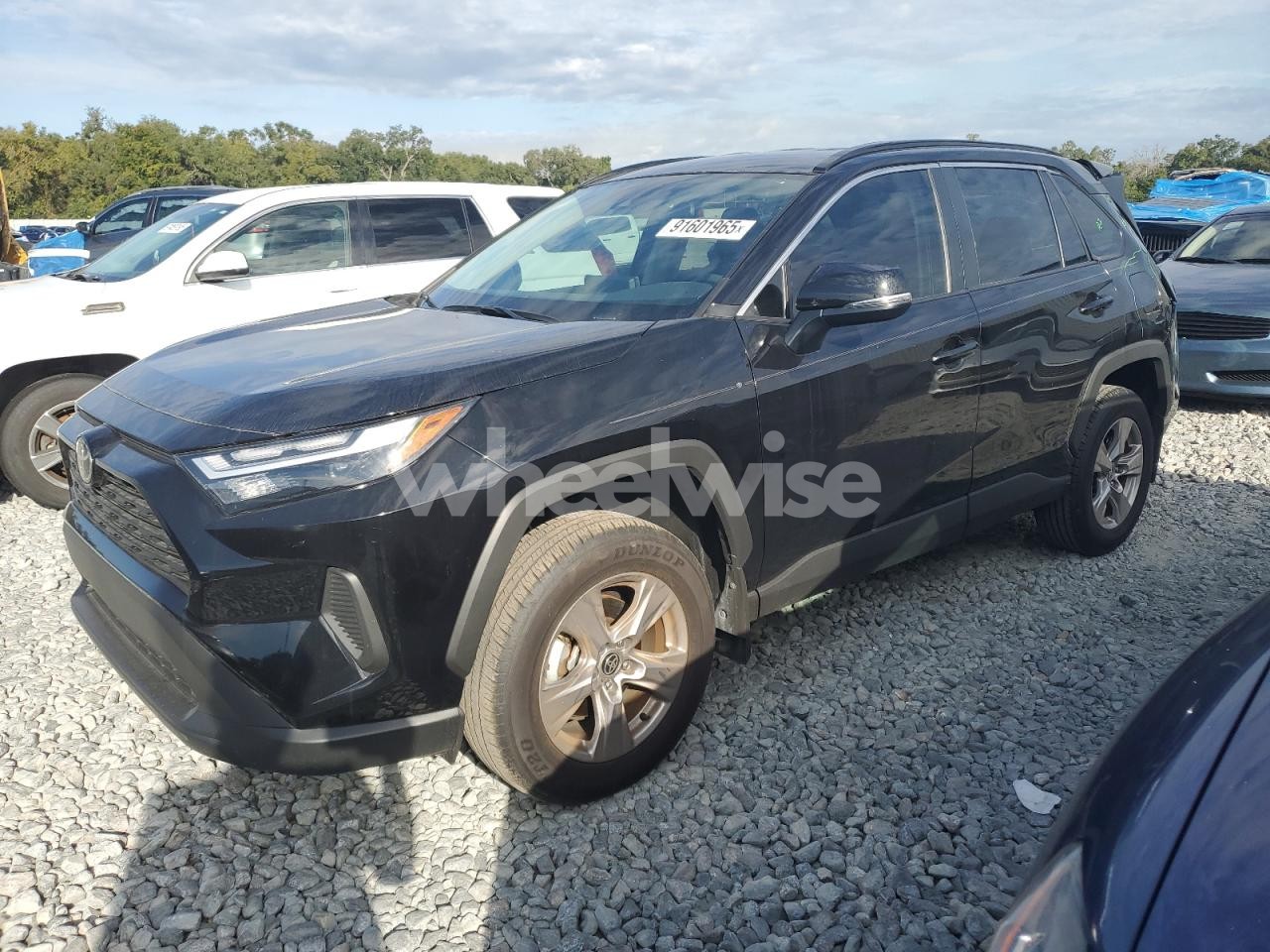 2025 TOYOTA RAV4 XLE (VIN 2T3W1RFV7SC311987) main photo