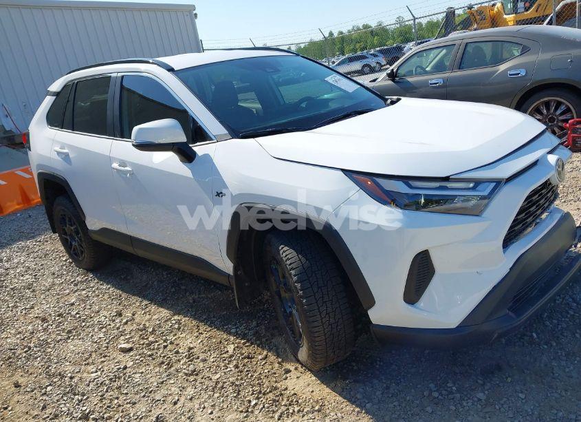 2025 Toyota Rav4 XLE (VIN 2T3W1RFV7SC316459) main photo